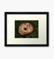 Study in Browns Framed Print