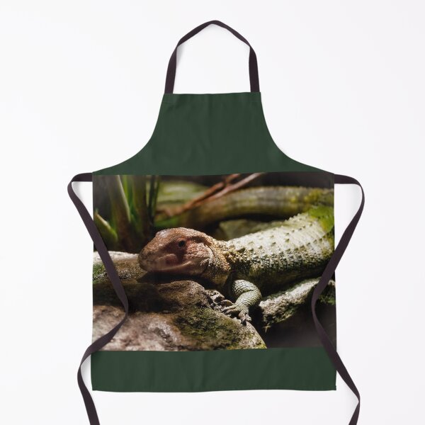 Item preview, Caiman Lizard on the Rocks designed and sold by KbytesOfJax Outdoor and Nature.