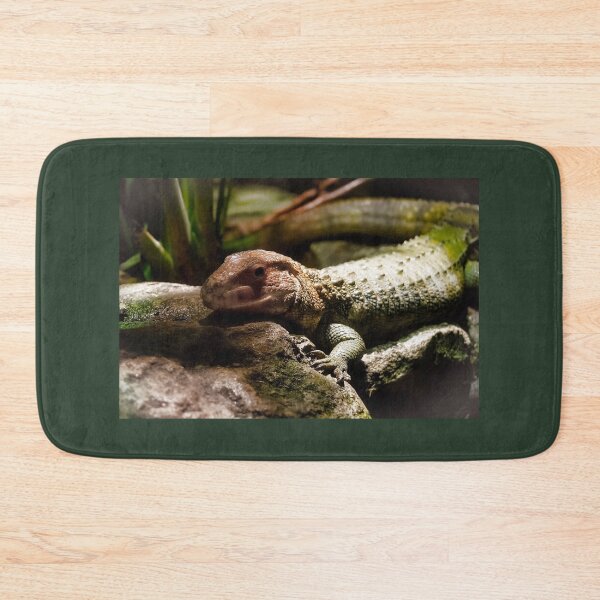 Item preview, Caiman Lizard on the Rocks designed and sold by KbytesOfJax Outdoor and Nature.