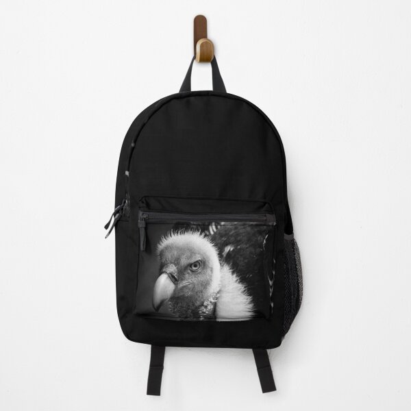 Item preview, Rueppell's Vulture: After a shower (black version) designed and sold by Lenka.