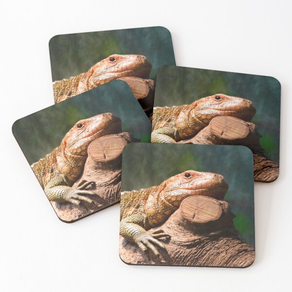 Item preview, Solitary Caiman Lizard perches on Log designed and sold by KbytesOfJax Outdoor and Nature.