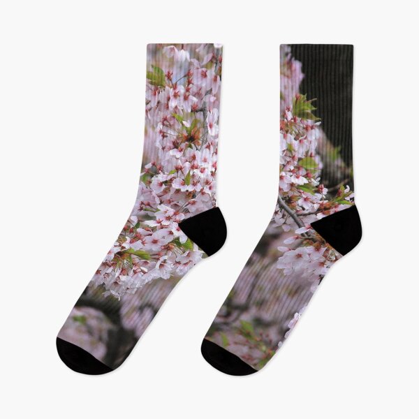 Item preview, Sakura, Cherry Blossoms designed and sold by Susan Segal.