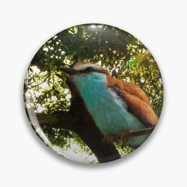 Item preview, Up with the Sun designed and sold by KbytesOfJax Outdoor and Nature.
