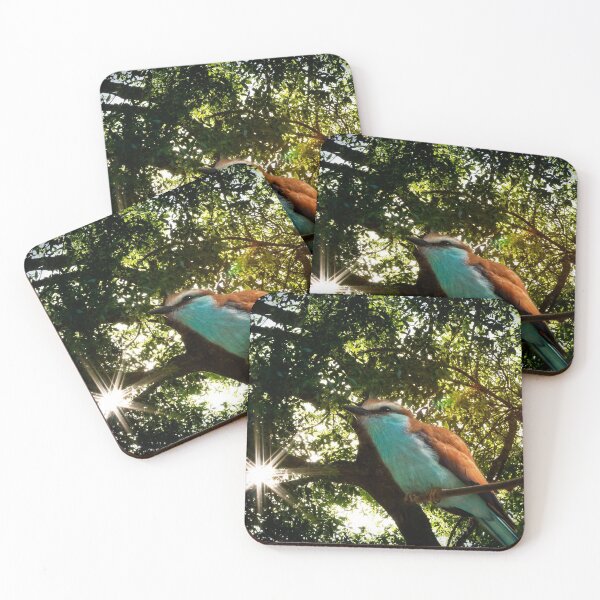 Item preview, Up with the Sun designed and sold by KbytesOfJax Outdoor and Nature.