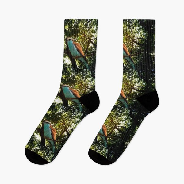 Item preview, Up with the Sun designed and sold by KbytesOfJax Outdoor and Nature.