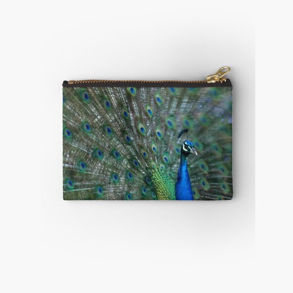 Artikelvorschau, Schimmernder Pfau entworfen und verkauft von WordTasker.
