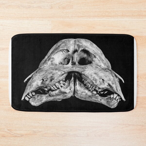 Item preview, Muséum national d'Histoire naturelle - Veleda Thorsson Photography designed and sold by VeledaThorsson.