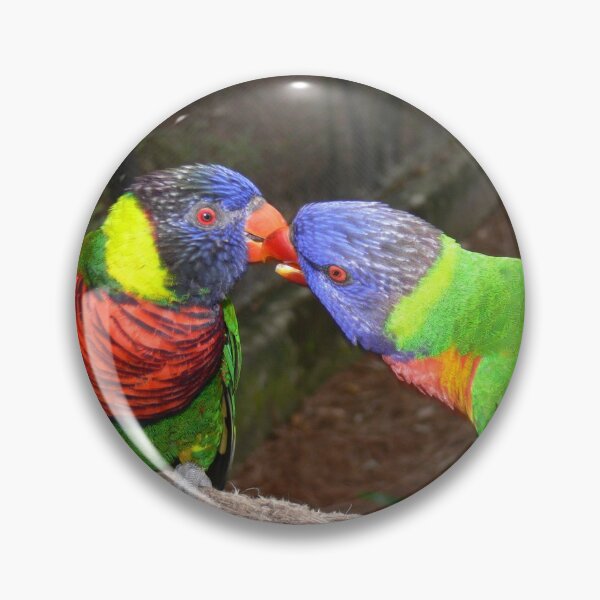 Item preview, Love Birds designed and sold by Monika's Shop.