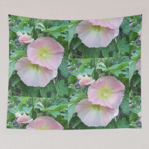 Item preview, Pale pink hollyhocks photograph  designed and sold by esvb.