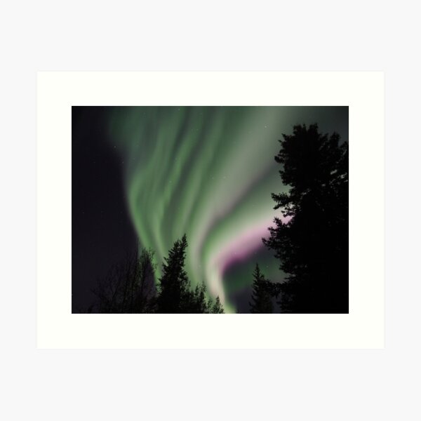 Northern Lights Art Print