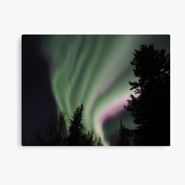 Northern Lights Canvas Print