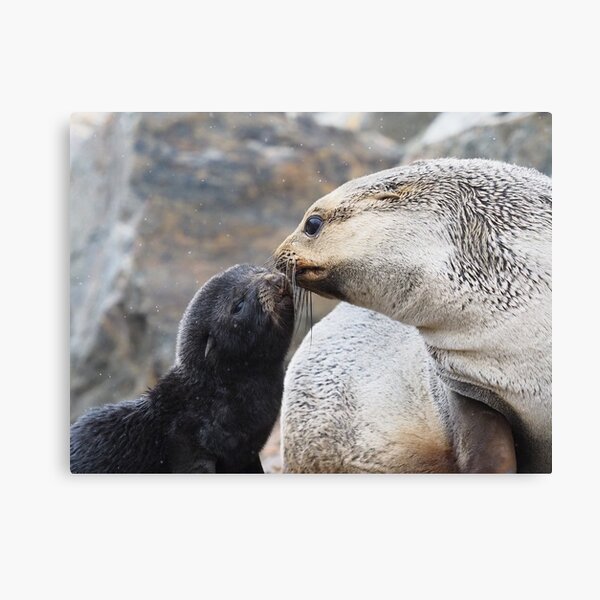 Mother Love Canvas Print