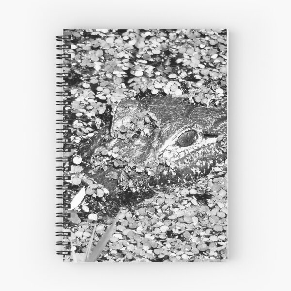 Item preview, Resting Gator designed and sold by NGraham72.