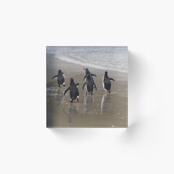Penguin March Acrylic Block