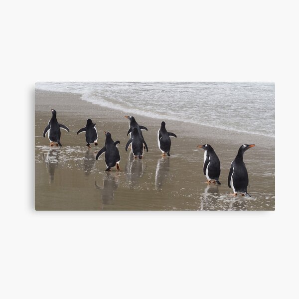 Penguin March Canvas Print