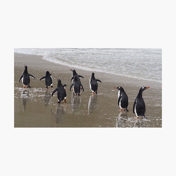 Item preview, Penguin March designed and sold by AntarcticShop.