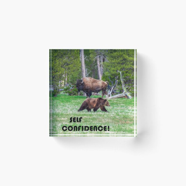 Item preview, Bear and Bison Self Confidence designed and sold by Tim Thompson.