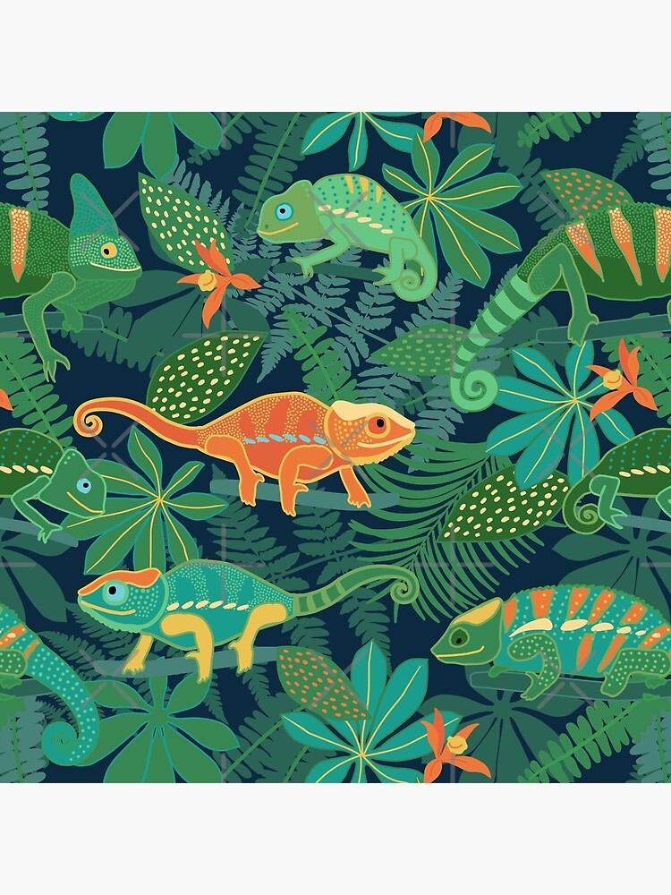 Chameleons in Jungle by nadyanadya
