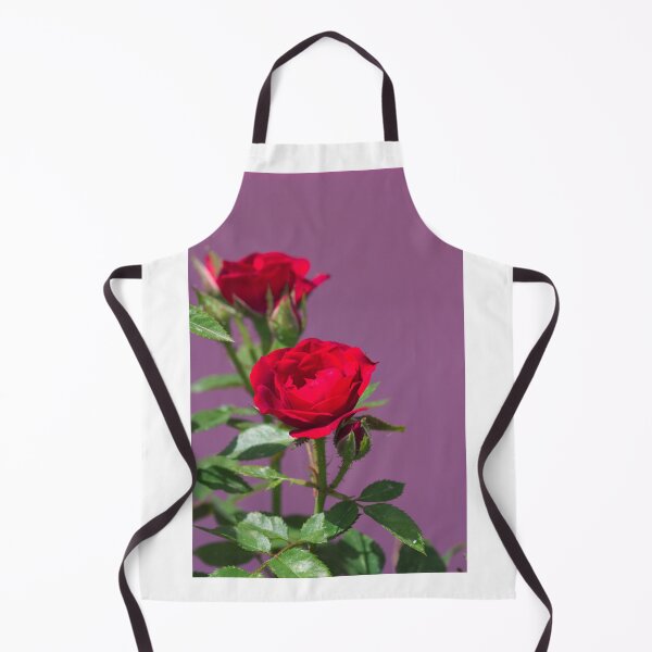 Aperçu de l'œuvre Deux roses sur la rosla sur fond violet créée et vendue par lauprizan.