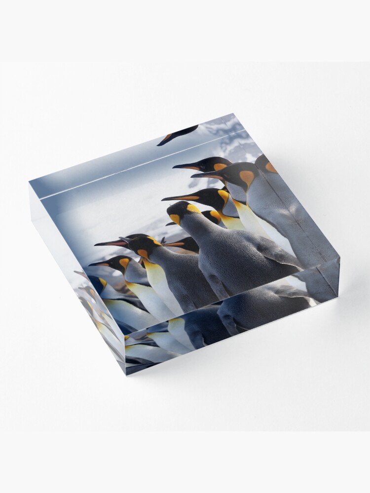Alternate view of Pride Of Penguins Acrylic Block
