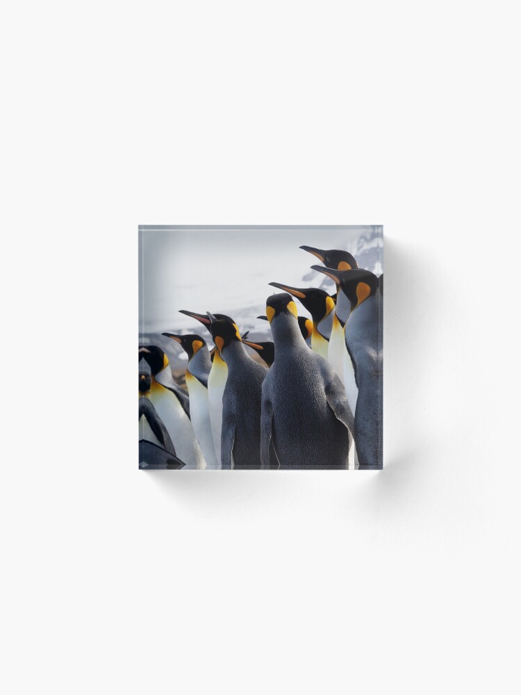 Alternate view of Pride Of Penguins Acrylic Block