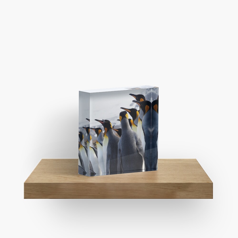 Pride Of Penguins Acrylic Block