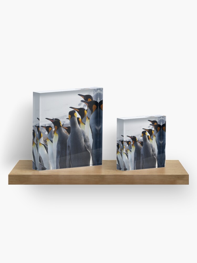 Alternate view of Pride Of Penguins Acrylic Block