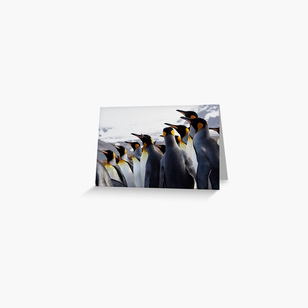 Pride Of Penguins Greeting Card