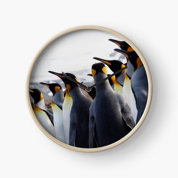 Pride Of Penguins Clock