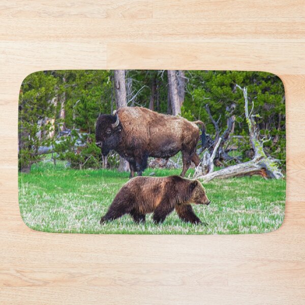 Item preview, Bear and Bison Self Confidence designed and sold by Tim Thompson.