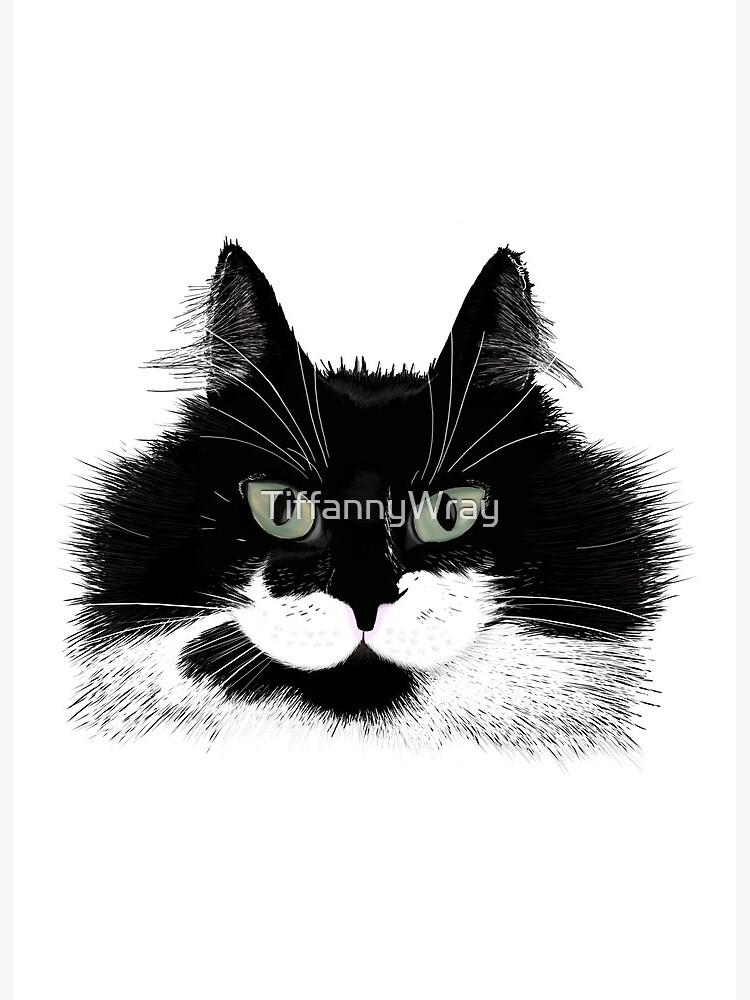 Featured image of post The Best 25 Tuxedo Cat Face Drawing