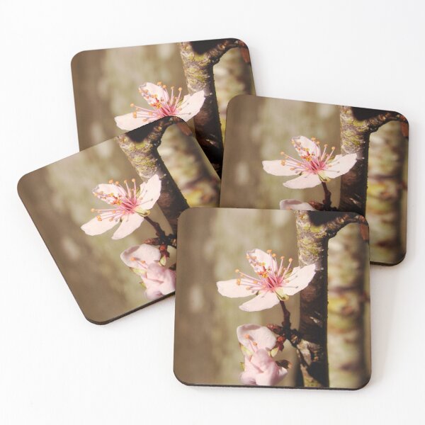Item preview, Sun Worshipper designed and sold by AGODIPhoto.