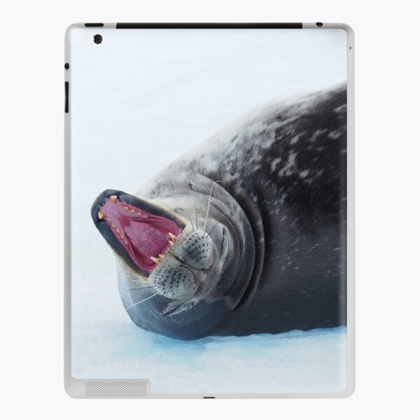 Seal of Approval iPad Skin