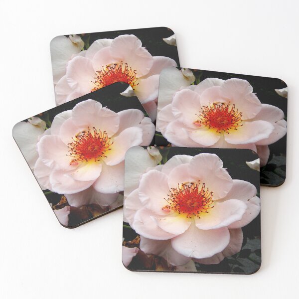 Item preview, Delicate designed and sold by AGODIPhoto.