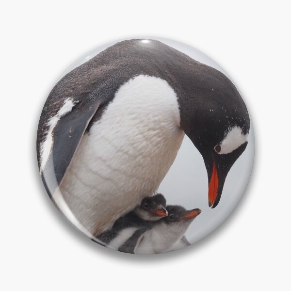 Artikelvorschau, Pinguinküken entworfen und verkauft von AntarcticShop.
