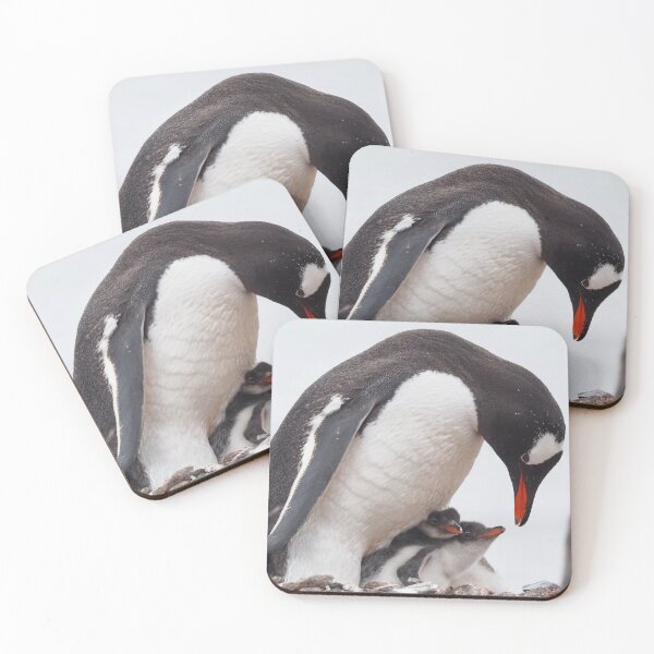 Item preview, Penguin Chicks  designed and sold by AntarcticShop.