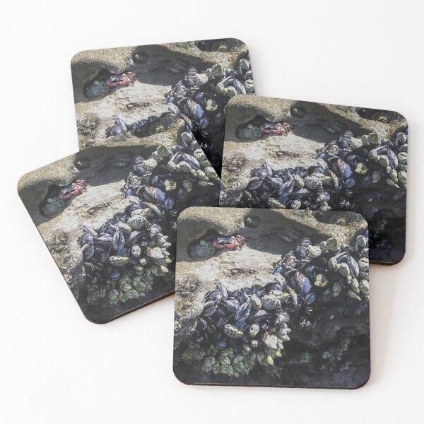 Item preview, Nature's Sea LIfe designed and sold by heatherfriedman.