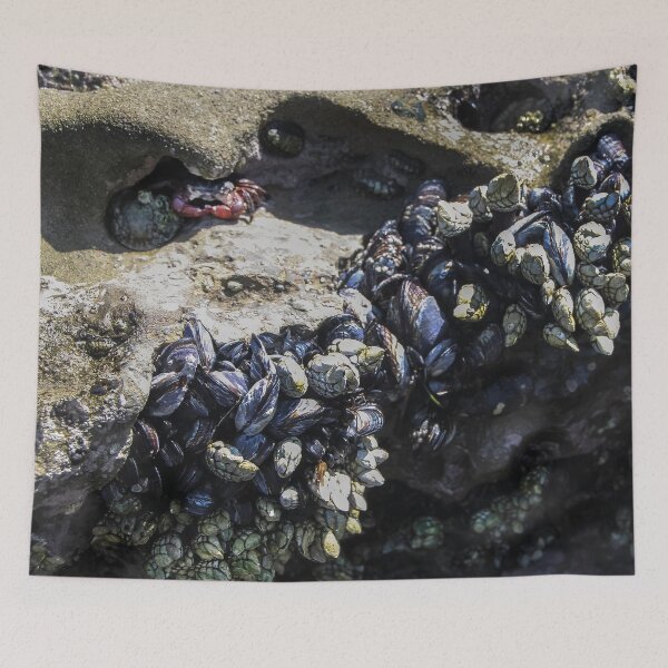 Item preview, Nature's Sea LIfe designed and sold by heatherfriedman.