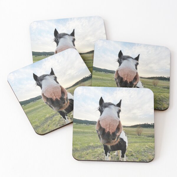 Item preview, China Shnoz designed and sold by Sarah Matula Photography.