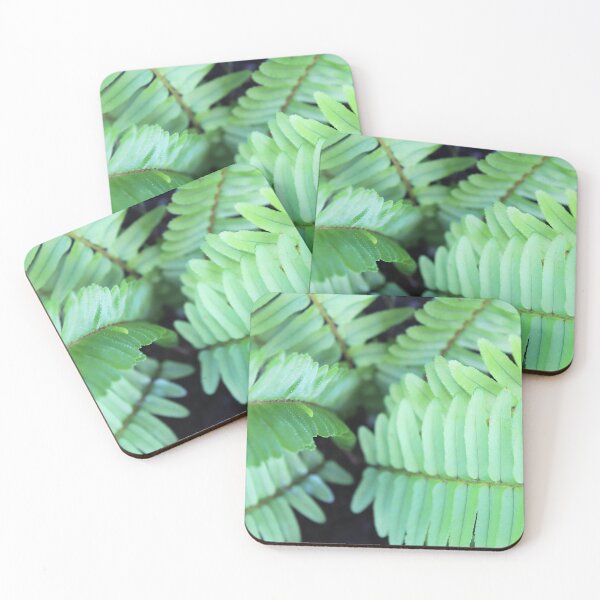 Item preview, Into the Darkness of the Fern designed and sold by Islandjunkie09.