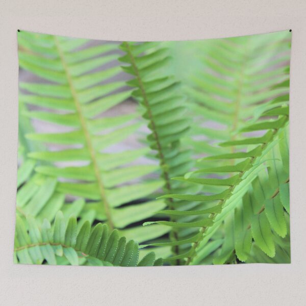 Item preview, Sunny Fern designed and sold by Islandjunkie09.