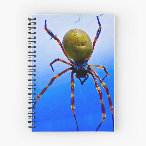 Item preview, The Golden Orb Weaver Spider  designed and sold by Mickangelhere.