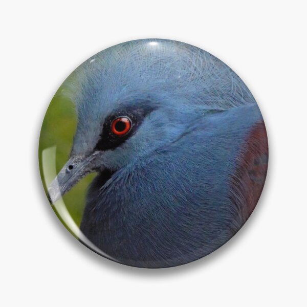 Item preview, Victoria Crowned Pigeon (Goura,victoria) designed and sold by Jeff Ore.