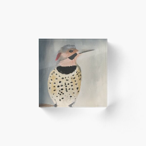 Northern Flicker Acrylic Block