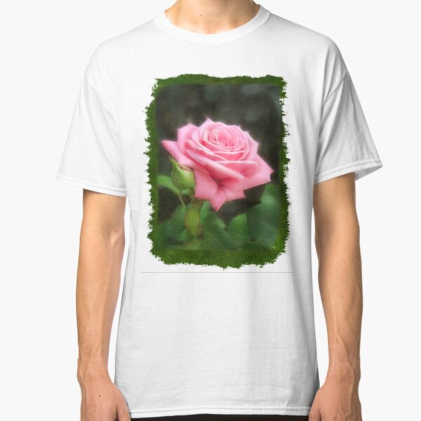 Pink Roses in Anzures 3 Blank P1F0 Classic T-Shirt