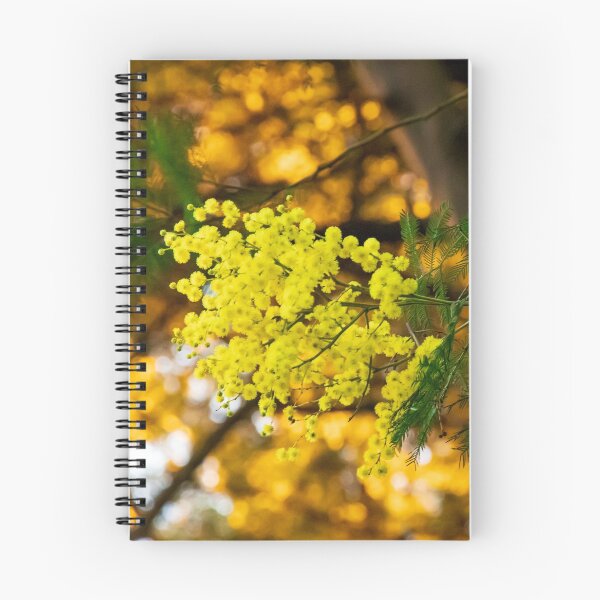 Item preview, Flowering Western Australian Golden Wattle designed and sold by FigTreeMagick.