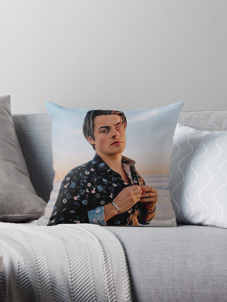 https://ih1.redbubble.net/image.1458686093.4167/throwpillow,small,750x1000-bg,f8f8f8.jpg