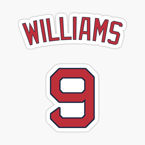 Download Ted Williams Boston Shirt Wallpaper