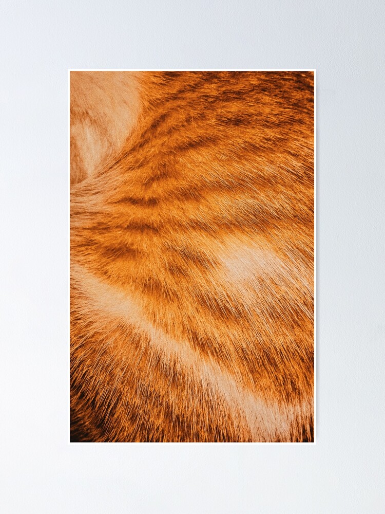 golden-cats-fur-pattern-texture-poster-by-positivework-redbubble