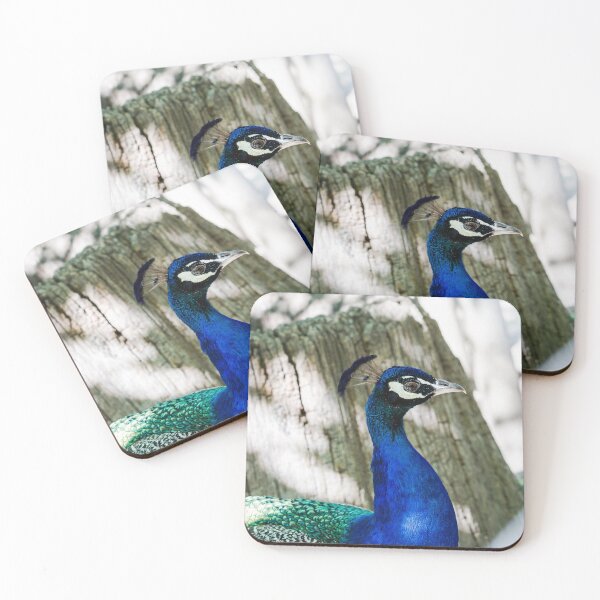 Item preview, peacock profile designed and sold by blacqbook.